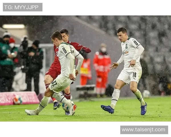 海登海姆主场迎战拜仁慕尼黑期待强强对决精彩瞬间不容错过