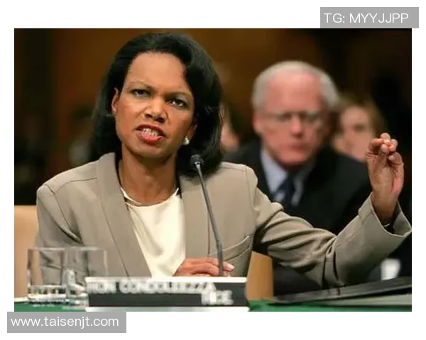 赖斯的崛起与挑战：解析其在国际关系中的影响力与未来发展方向